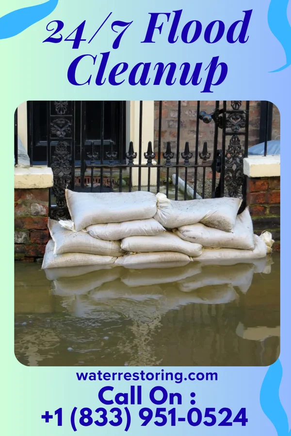 24/7 Flood Cleanup in Zuehl, TX