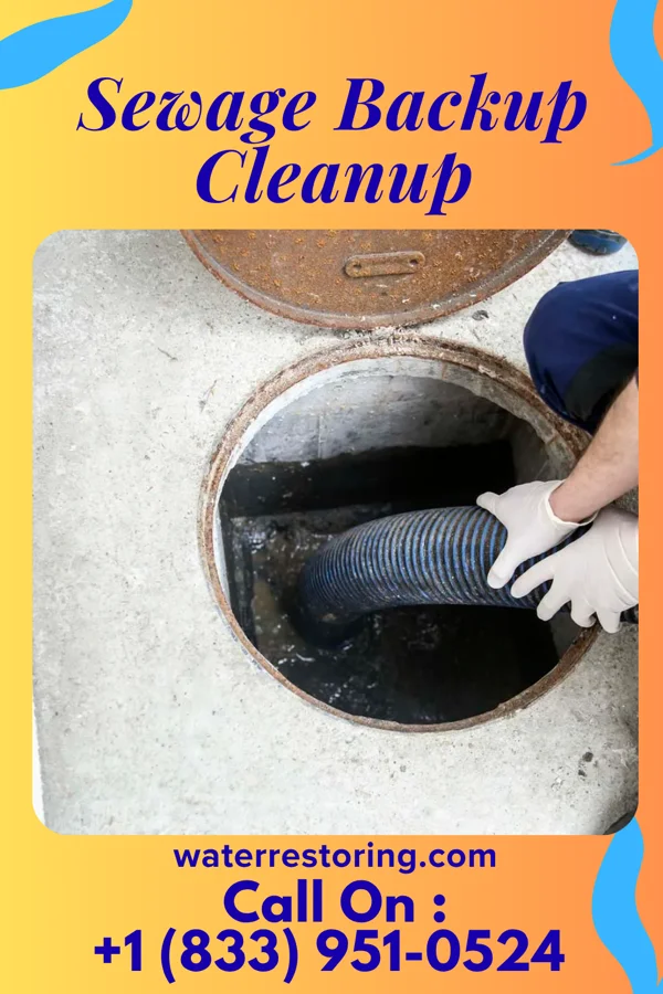 Sewage Backup Cleanup in Zuehl, TX