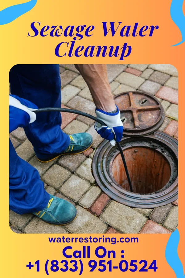 Sewage Water Cleanup in Zuehl, TX